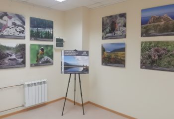 21-10-08-vistavki-3