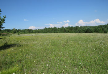 заказник 