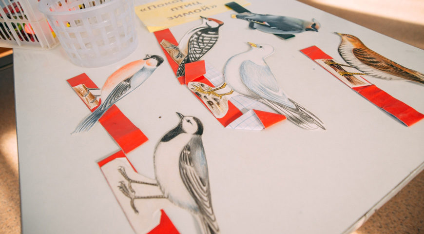 181012-4-00-birds