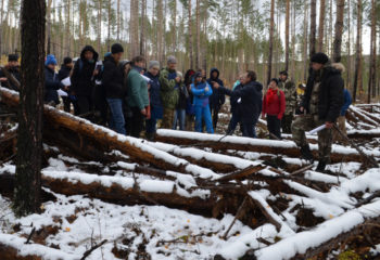 181017-1-00-forest-cutting