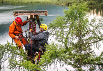 190124-00-nest-05