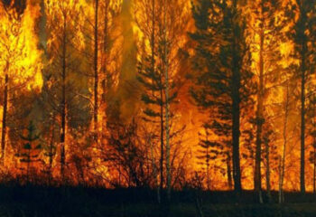 190507-00-forest-fire