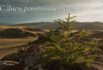 190913-1-00-forester-day