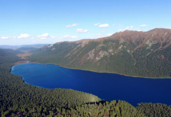 191009-1-00-tofalaria