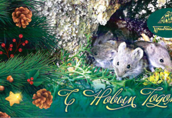 191231-2-00-happy-christmas