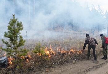 200325-2-00-antifire