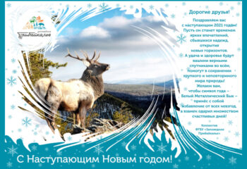 201230-3-00-happy-new-year-2021