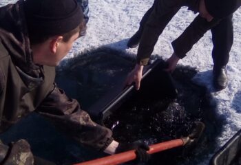 21-04-08-pytno-3