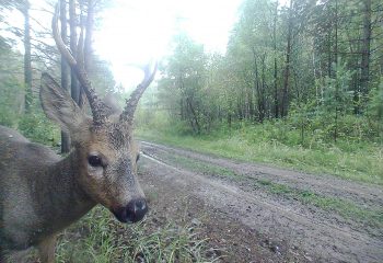 21-09-23-fotolovushka-5