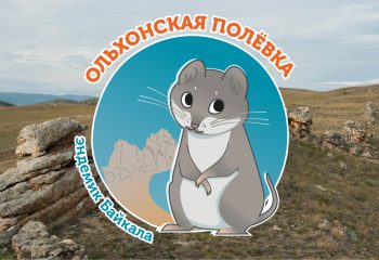21-12-15-polevka