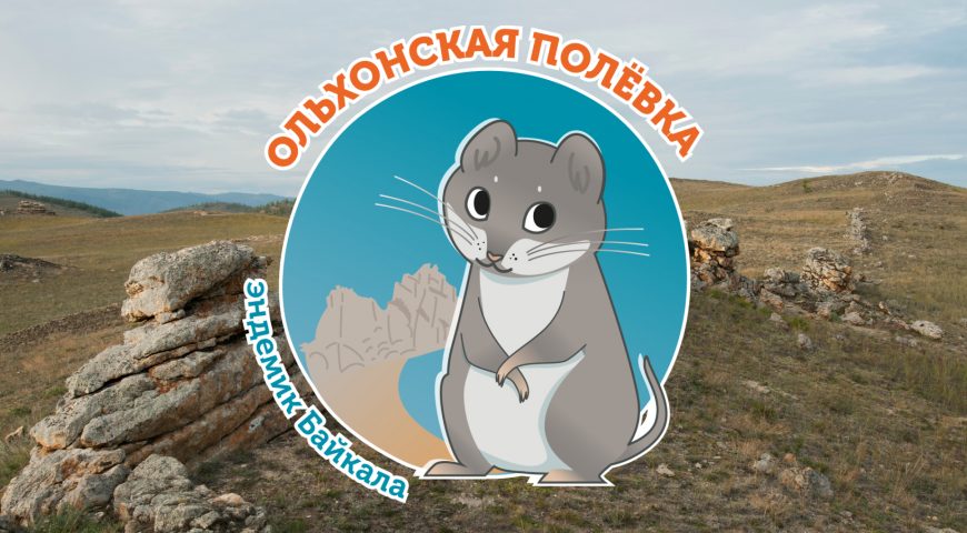 21-12-15-polevka