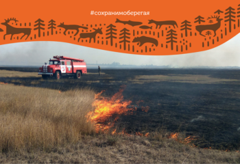 22-04-01-fire