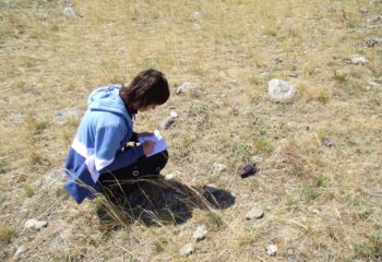 22-06-02-survey-3