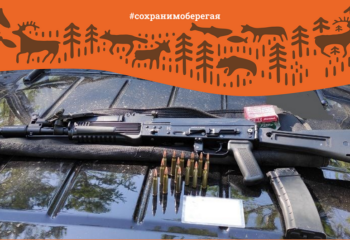 22-06-16-gun