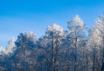 22-12-19-snow