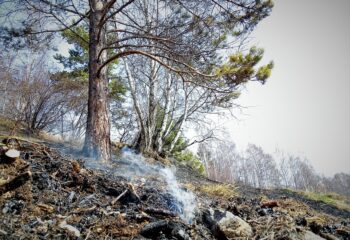 23-04-13-fire