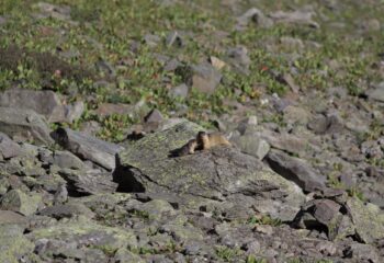 23-09-04-expedition-2