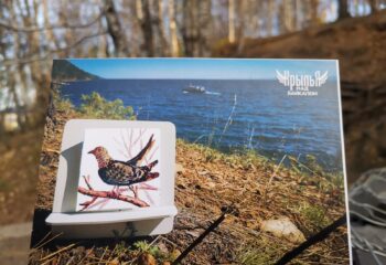 23-10-09-postcard-3
