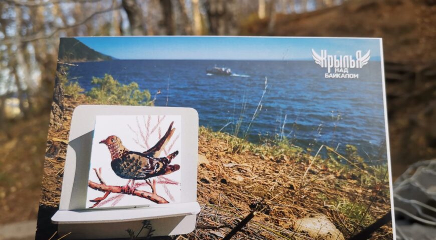 23-10-09-postcard-3