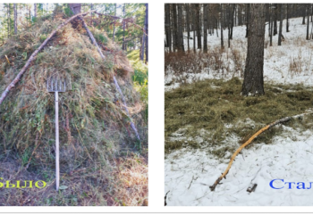 24-01-24-zapovednik