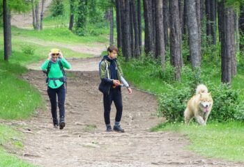 24-06-21-dog
