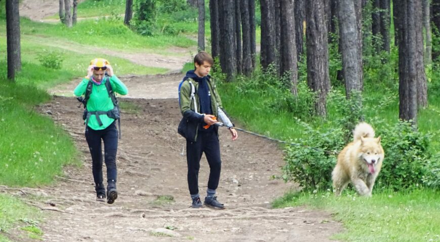 24-06-21-dog