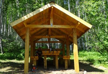 24-07-01-cedar-2