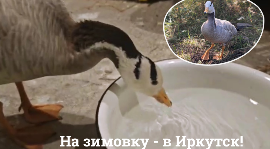 24-09-18-zimovka