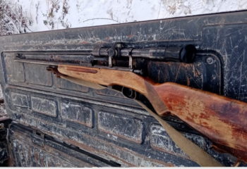24-11-14-weapon-2