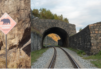 25-09-26-medved