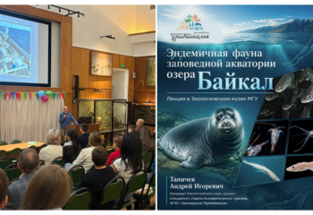 26-10-15-baikal